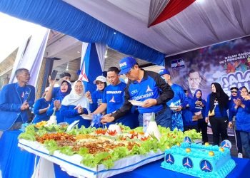 Banyak Dapat Hikmat, YTP: Kami Bersyukur Demokrat Sudah Berusia 22 Tahun