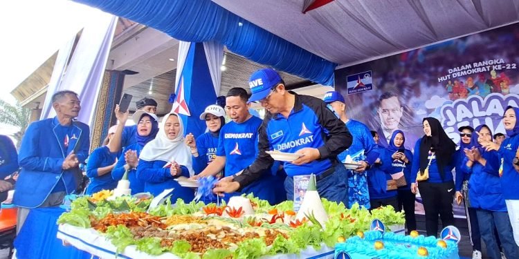 Banyak Dapat Hikmat, YTP: Kami Bersyukur Demokrat Sudah Berusia 22 Tahun