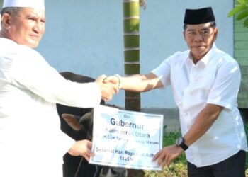 Gubernur Serahkan Sapi Kurban Kepada Pengurus Masjid Jami Habib Ahmad Alkaf