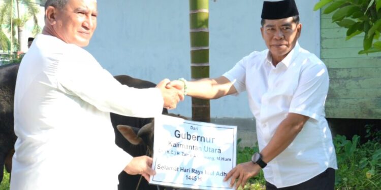 Gubernur Serahkan Sapi Kurban Kepada Pengurus Masjid Jami Habib Ahmad Alkaf
