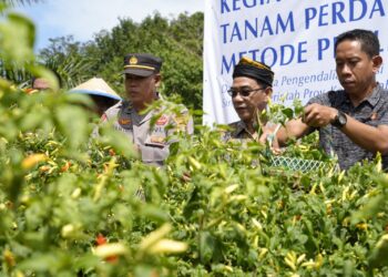 Kendalikan Inflasi, KPw BI dan Pemprov Kaltara Berkolaborasi