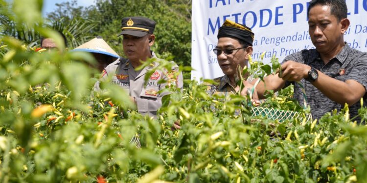 Kendalikan Inflasi, KPw BI dan Pemprov Kaltara Berkolaborasi