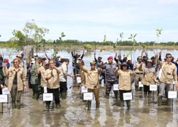 Gubernur Ikuti Kick Off Penanaman Mangrove For Coastal Resilience di Provinsi Kaltara