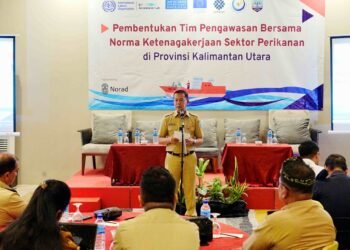 Bentuk Tim Pengawasan Bersama, Dorong Potensi Perikanan di Kaltara