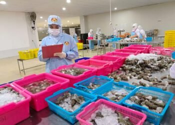 DKP Petakan Potensi Hilirasi Produk Perikanan