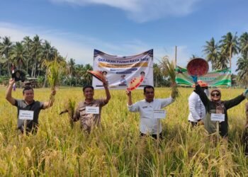 Pemprov Gelar Panen Raya Bersama Gapoktan Mamminasae Sebatik