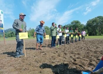 Pemkab Bulungan Komitmen Wujudkan Visi Berdaulat Pangan