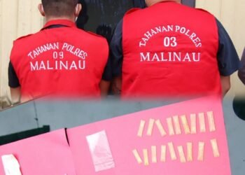 Puluhan Paket Sabu Siap Diedarkan, Polres Malinau Tangkap Dua Pelaku