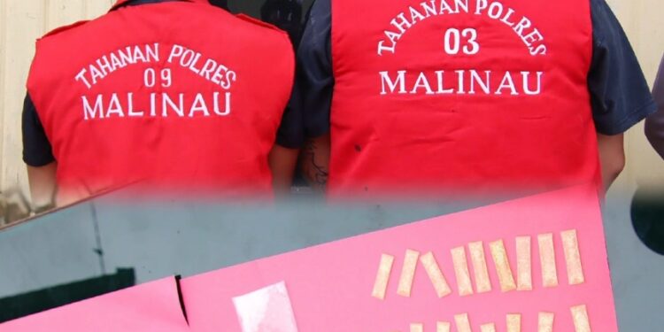 Puluhan Paket Sabu Siap Diedarkan, Polres Malinau Tangkap Dua Pelaku