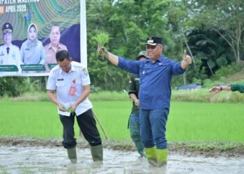 Program Swasembada Pangan Nasional di Bumi Intimung Terkendala Status Lahan