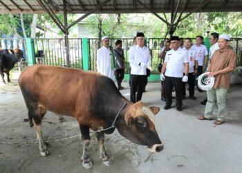 Bupati Serahkan Hewan Kurban Bantuan dari Presiden dan Pemkab Malinau