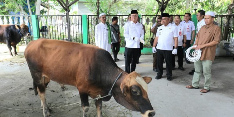 Bupati Serahkan Hewan Kurban Bantuan dari Presiden dan Pemkab Malinau