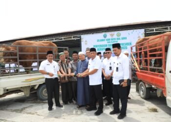 Iduladha 1446 Hijriah, Pemkab Bulungan Salurkan 16 Ekor Sapi Kurban