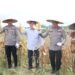 Wujud Komitmen Dukung Swasembada Pangan Nasional, Kapolda Kaltara Hadiri Panen Raya Jagung Serentak di Kelubir