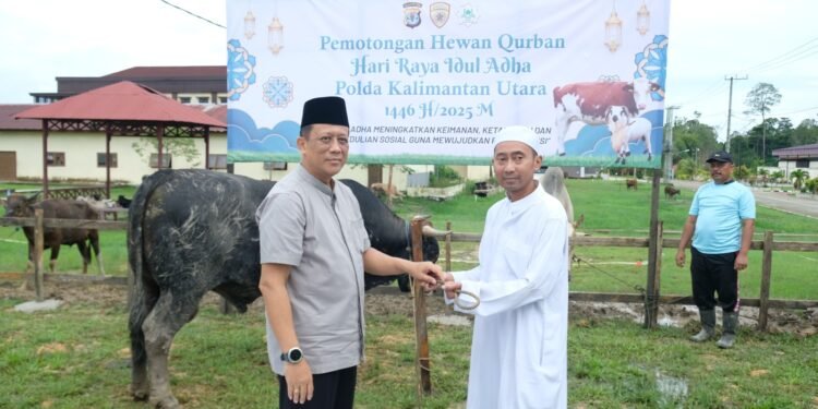 Rayakan Iduladha 1446 Hijriah, Polda Kaltara Laksanakan Pemotongan 35 Ekor Hewan Kurban