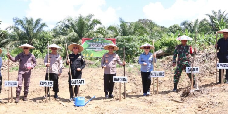 Bersama Forkopimda Malinau, Kapolda Kaltara Tanam Jagung Sejuta Hektar