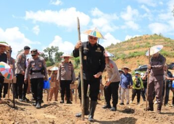 Pemkab Malinau Targetkan 690 Hektare Tanam Jagung di Tahun 2025