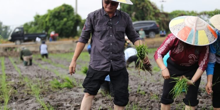Tanam Padi Bersama Satgas Pesat, Wempi Tegaskan Komitmennya Melayani Masyarakat