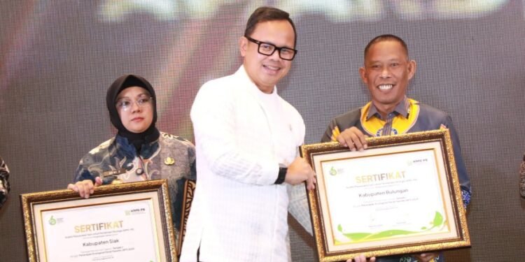 Terbaik 1 Penerapan EFT 2025, Kabupaten Bulungan Terima Penghargaan Utama dari KMS-PE