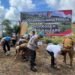 Dukung Ketahanan Pangan, Bidpropam Polda Kaltara Tanam Jagung 10 Hektare