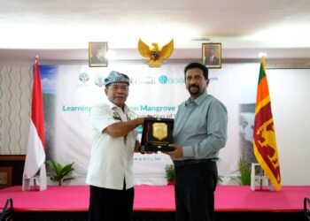 Upaya Rehabilitasi Mangrove, Sri Lanka Belajar ke Kaltara