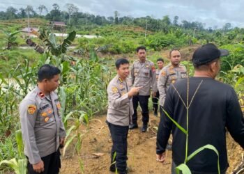 Dukung Ketahanan Pangan Nasional di Malinau, Karo SDM Polda Kaltara Kunjungi Desa Sesua