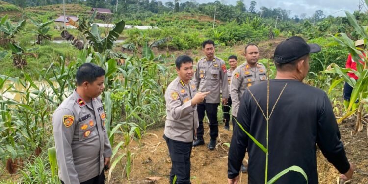 Dukung Ketahanan Pangan Nasional di Malinau, Karo SDM Polda Kaltara Kunjungi Desa Sesua