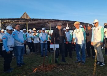 Tanam Pohon di Bumi Intimung, Iwan Fals Ciptakan Lagu untuk Malinau