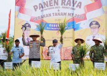 Bukti Komitmen Penuh Mendukung Swasembada Pangan Nasional, Realisasi Hasil Panen Padi di Kaltara Meningkat Signifikan dan Capai Target