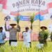 Bukti Komitmen Penuh Mendukung Swasembada Pangan Nasional, Realisasi Hasil Panen Padi di Kaltara Meningkat Signifikan dan Capai Target