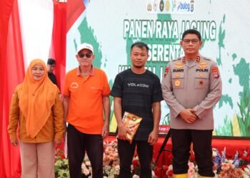 Panen Raya Jagung Serentak Kuartal IV Tahun 2025, Kapolda Kaltara Bersama Dinas Pertanian Serahkan Bantuan Bibit ke Petani