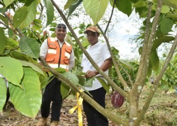 Bupati Bulungan Apresiasi Terobosan PT PKN Jadikan Lahan Bekas Tambang sebagai Kawasan Sentra Ekonomi Baru