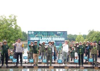 Peringati Hari Lahan Basah Sedunia, Gubernur Kaltara bersama Menhut RI Tanam Mangrove di Desa Liagu