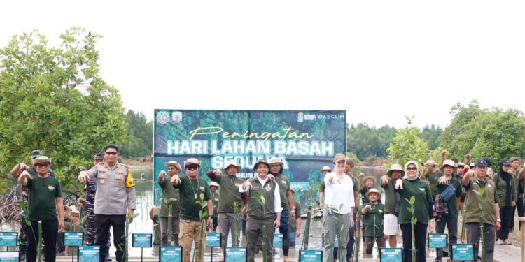 Peringati Hari Lahan Basah Sedunia, Gubernur Kaltara bersama Menhut RI Tanam Mangrove di Desa Liagu