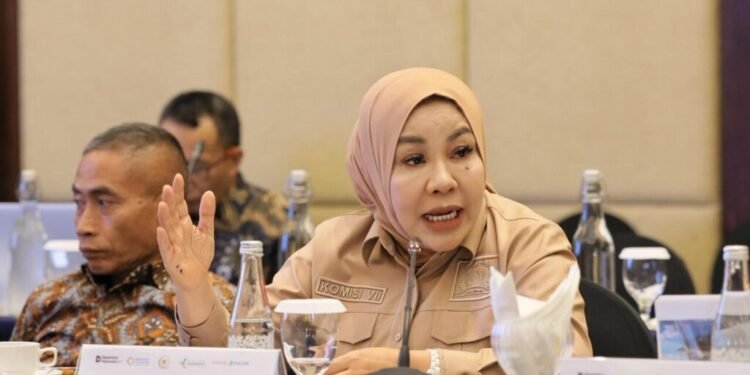 Anggota DPR RI, Rahmawati Minta Tenaga Kerja Lokal Dominan di Proyek KIHI