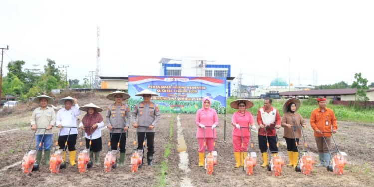 Tanam Jagung Serentak untuk Swasembada Pangan 2026, Polda Kaltara Kelola Potensi Lahan 808 Hektare dan Didukung Ratusan Kelompok Tani
