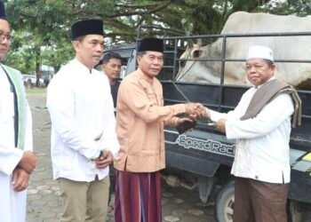 Salat Iduladha Bersama Ribuan Warga, Gubernur Kaltara Serahkan Hewan Kurban untuk Masyarakat