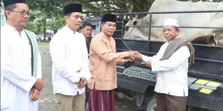 Salat Iduladha Bersama Ribuan Warga, Gubernur Kaltara Serahkan Hewan Kurban untuk Masyarakat