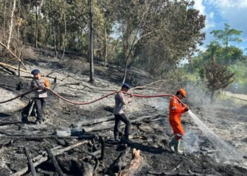 Sigap! Brimob Polda Kaltara Jinakkan Karhutla di Jelarai Hulu