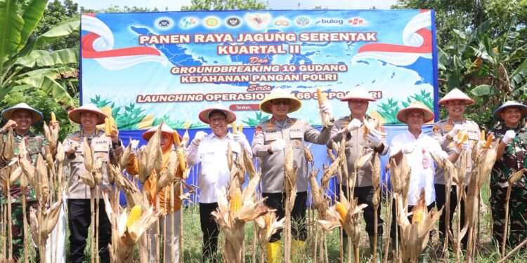 Polda Kaltara Panen Raya Jagung Serentak Kuartal II di Tarakan