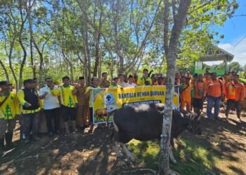 Dua Ekor Sapi Kurban Dikirim Bahlil untuk Petugas Kebersihan, Persampahan dan Pertamanan Kabupaten Bulungan