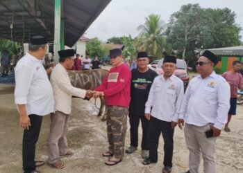 Masjid Sultan Maulana Muhammad Kasimuddin Terima Sapi Kurban dari Kadin Indonesia seberat 680 Kilogram