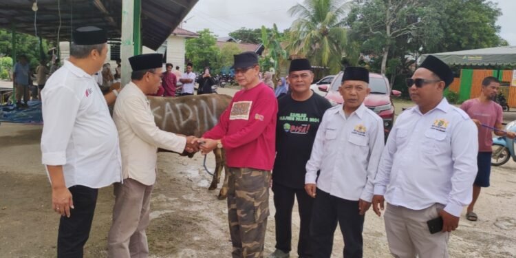 Masjid Sultan Maulana Muhammad Kasimuddin Terima Sapi Kurban dari Kadin Indonesia seberat 680 Kilogram