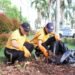Sambut Hari Bhayangkara ke-80, Kapolda Kaltara Pimpin Langsung Aksi Bersih-Bersih di Pasar Induk