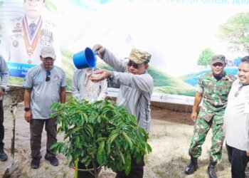 Hari Lingkungan Hidup Sedunia, Wagub Kaltara Serukan Aksi Nyata untuk Menjaga Bumi