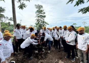 Bupati Bersama 74 Kades se-Kabupaten Bulungan Tanam Pohon di Kebun Raya Bundayati