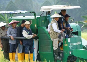 Bupati dan Wabup Hadiri Panen Raya sekaligus Tanam Perdana PM-AAS di Mara Hilir