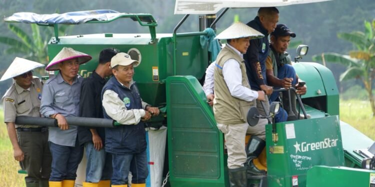 Bupati dan Wabup Hadiri Panen Raya sekaligus Tanam Perdana PM-AAS di Mara Hilir