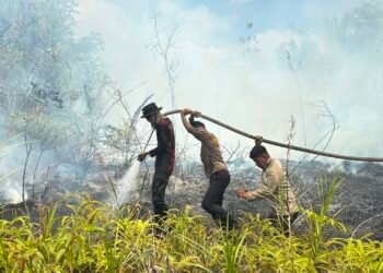 Ditsamapta Polda Kaltara Quick Response Tangani Titik Api Baru di Lahan 11,5 Hektare