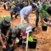 Wabup Bulungan Ajak Masyarakat Rawat Lingkungan dalam Aksi Tanam Satu Juta Pohon